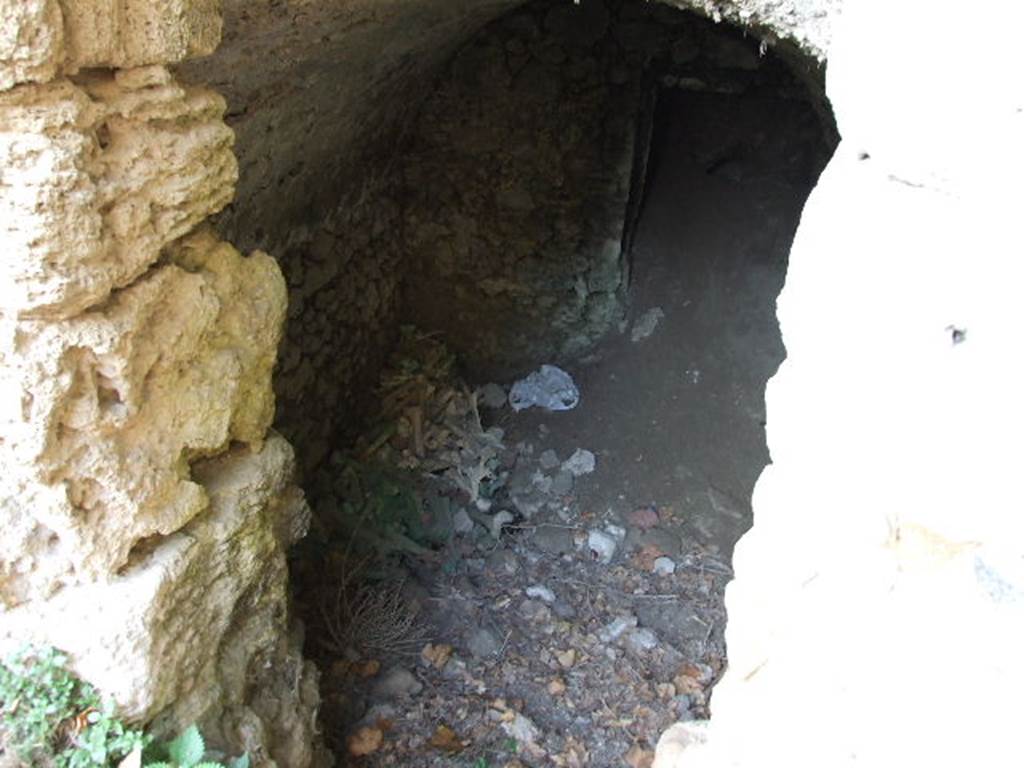 HGE12 Pompeii. December 2006. Looking north into cellar.