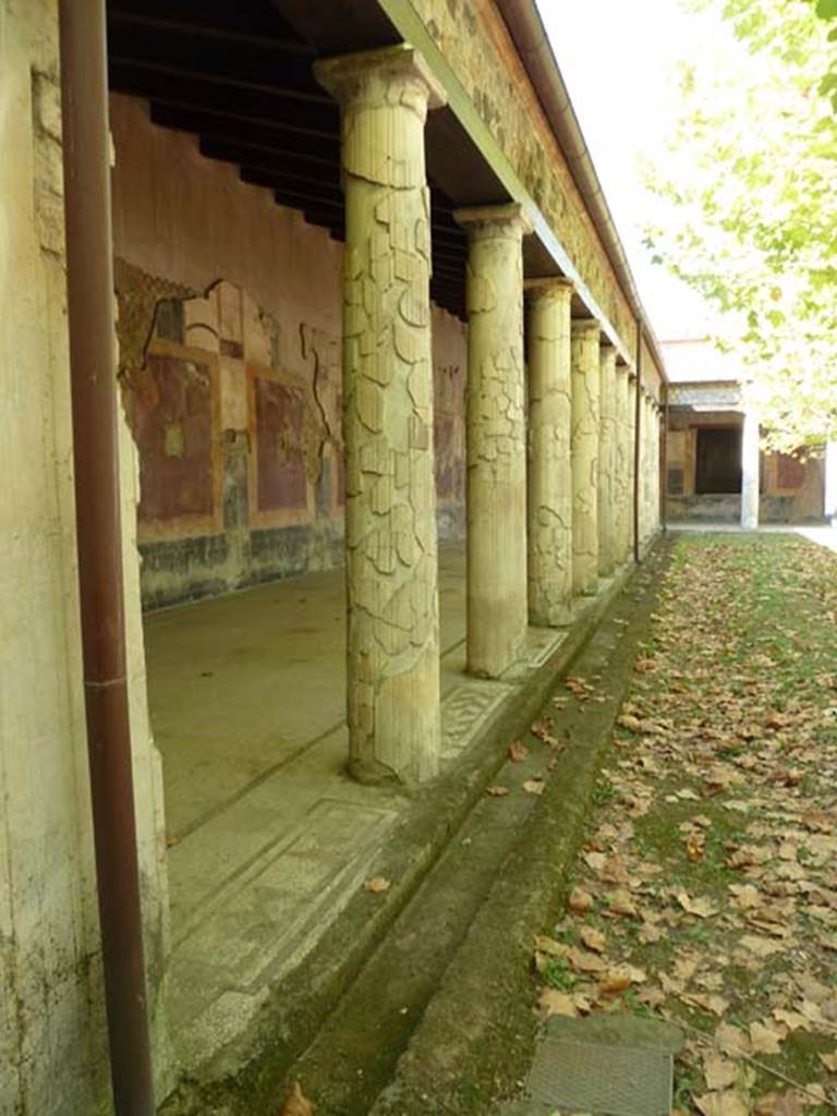 Villa San Marco, Stabiae, September 2015. Garden area 9. Looking north along west portico 3.