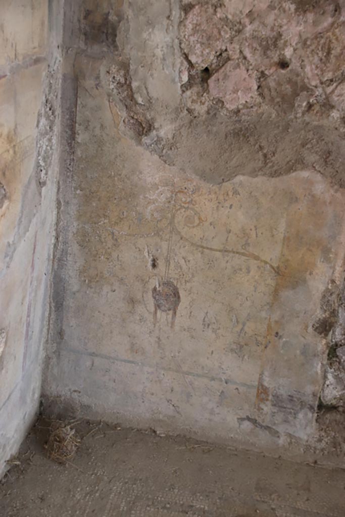 Villa San Marco, Stabiae, October 2022. 
Room 12, lower north wall between doorways. Photo courtesy of Klaus Heese.
