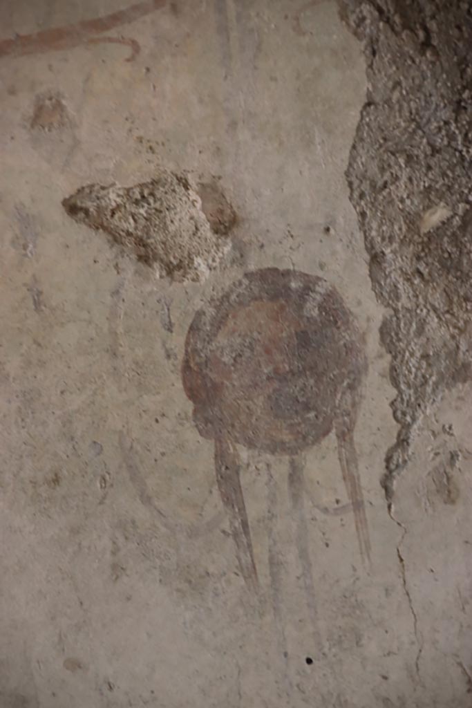 Villa San Marco, Stabiae, October 2022. 
Room 12, detail of painted face/mask. Photo courtesy of Klaus Heese.

