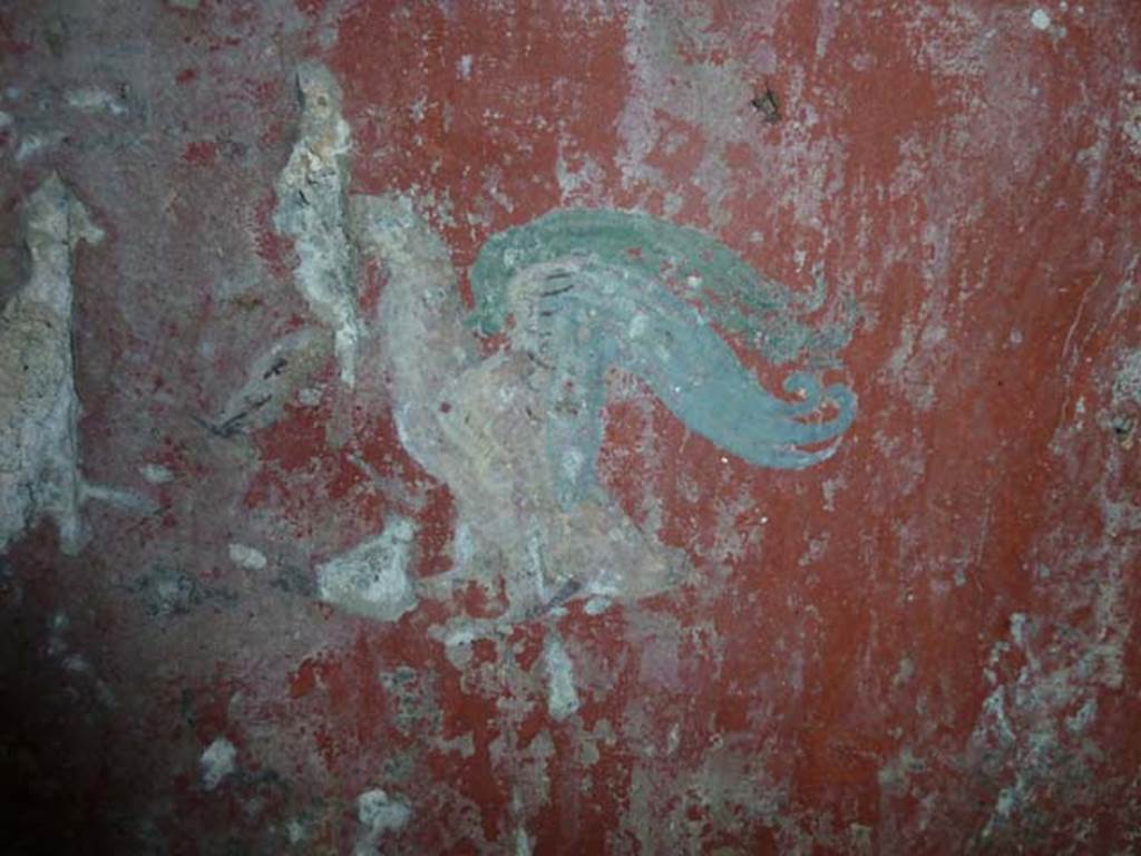 Villa San Marco, Stabiae, September 2015. Area 63, painted bird beneath window. 