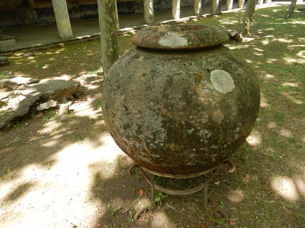 Villa San Marco, Stabiae, June 2019. Garden area 9, pot on west side. Photo courtesy of Buzz Ferebee