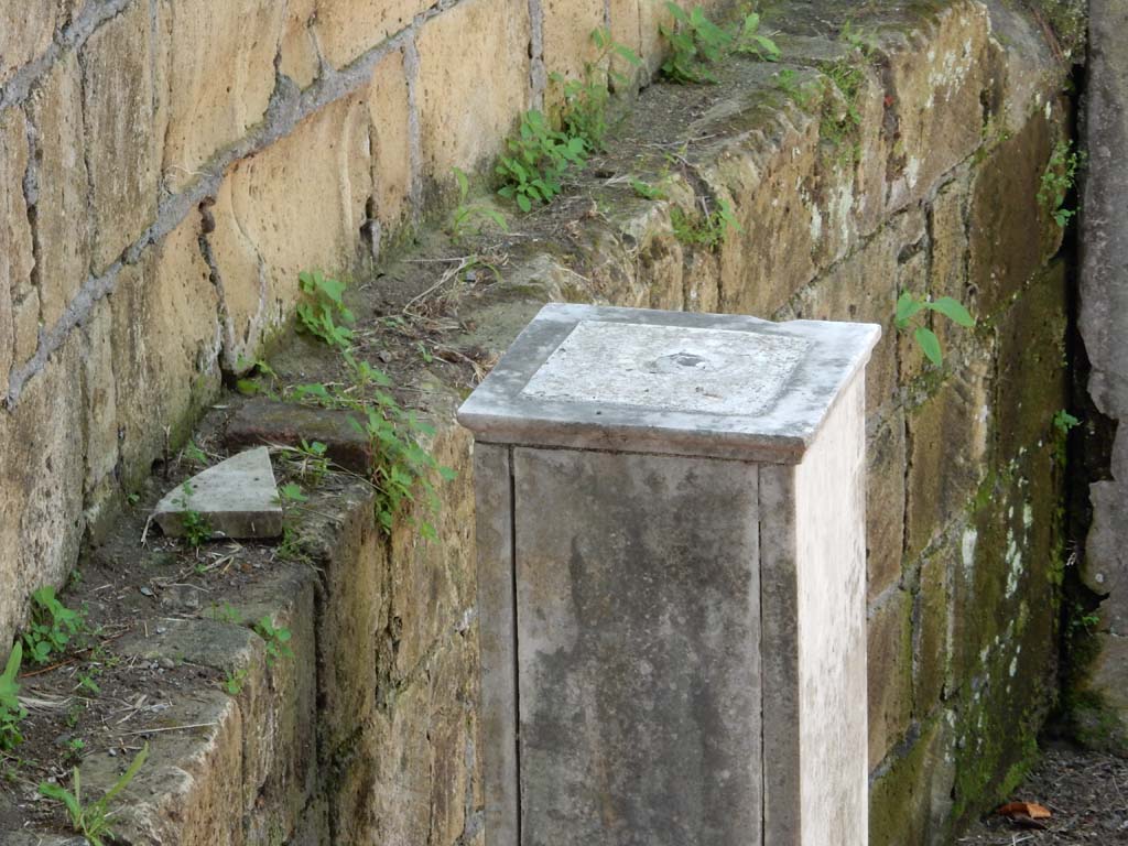 Villa San Marco, Stabiae, June 2019. Pool 15, detail from south end. Photo courtesy of Buzz Ferebee