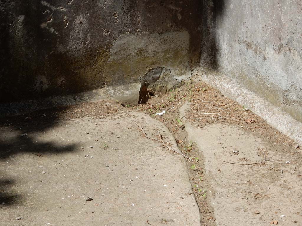 Villa San Marco, Stabiae, June 2019. Pool 15, detail from north end. Photo courtesy of Buzz Ferebee

