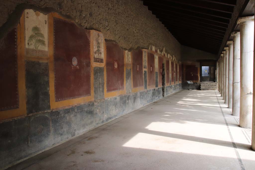 Villa San Marco, Stabiae, September 2021. Portico 20, looking south along east wall of portico. Photo courtesy of Klaus Heese.