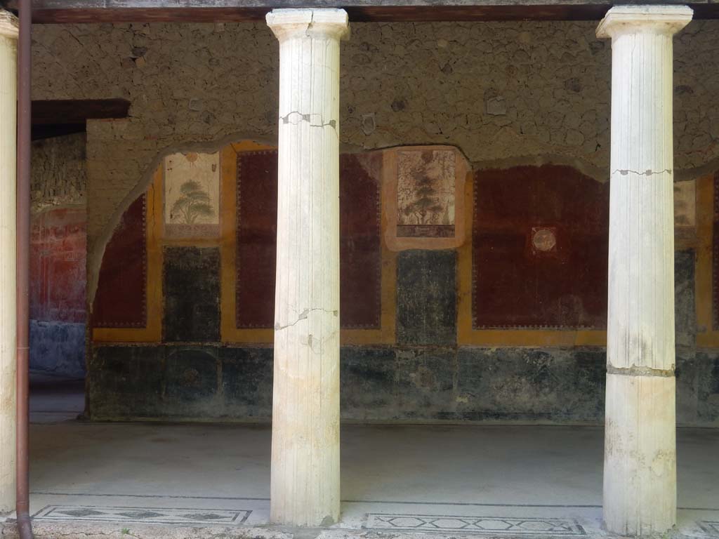 Villa San Marco, Stabiae, June 2019. Portico 20, looking towards east wall in north-east corner. Photo courtesy of Buzz Ferebee.