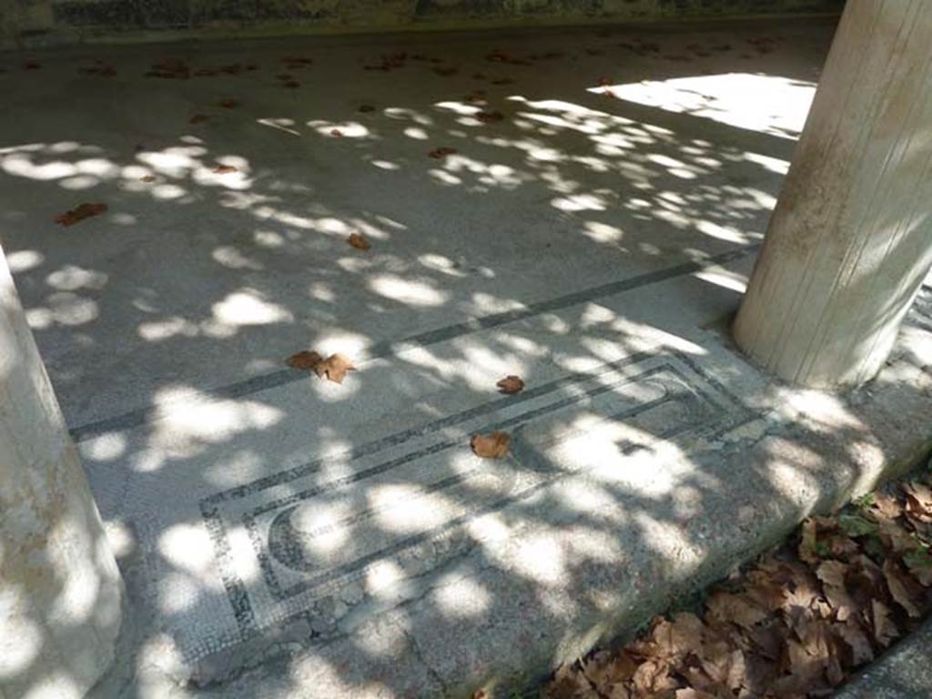 Villa San Marco, Stabiae, September 2015. Mosaic threshold between columns of east portico 20, number 7 of 11. 