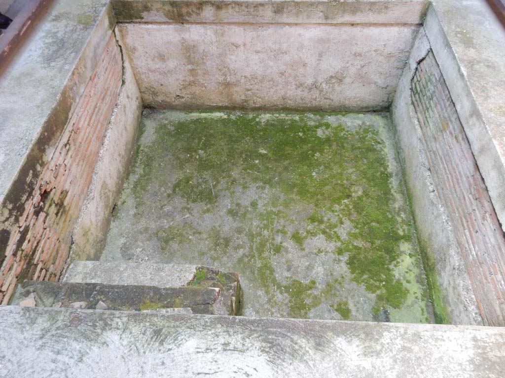 Villa San Marco, Stabiae, June 2019. Room 25, impluvium or pool. Photo courtesy of Buzz Ferebee