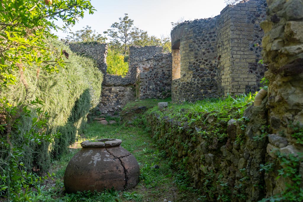 Villa of Mysteries, Pompeii. October 2023. Area on north side of Villa, looking east towards room 50. Photo courtesy of Johannes Eber.