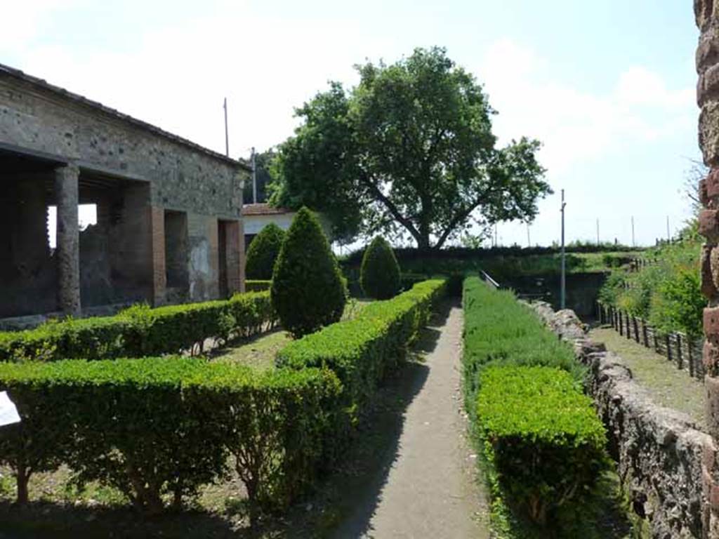 Villa of Mysteries, Pompeii. May 2010. The viridarium in the north-west corner. Looking west along the north side of the garden.