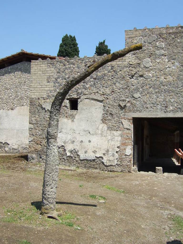 Cast of fossilised trunk at Villa Regina, Boscoreale. May 2006.
Looking north towards plaster-cast of tree and towards entrance doorway XIV.

