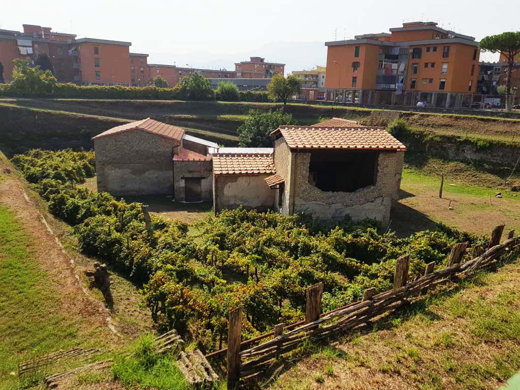 Villa Regina, Boscoreale. September 2021. 
Looking towards the west side with exterior of room IXbis, on right. Photo courtesy of Klaus Heese.
