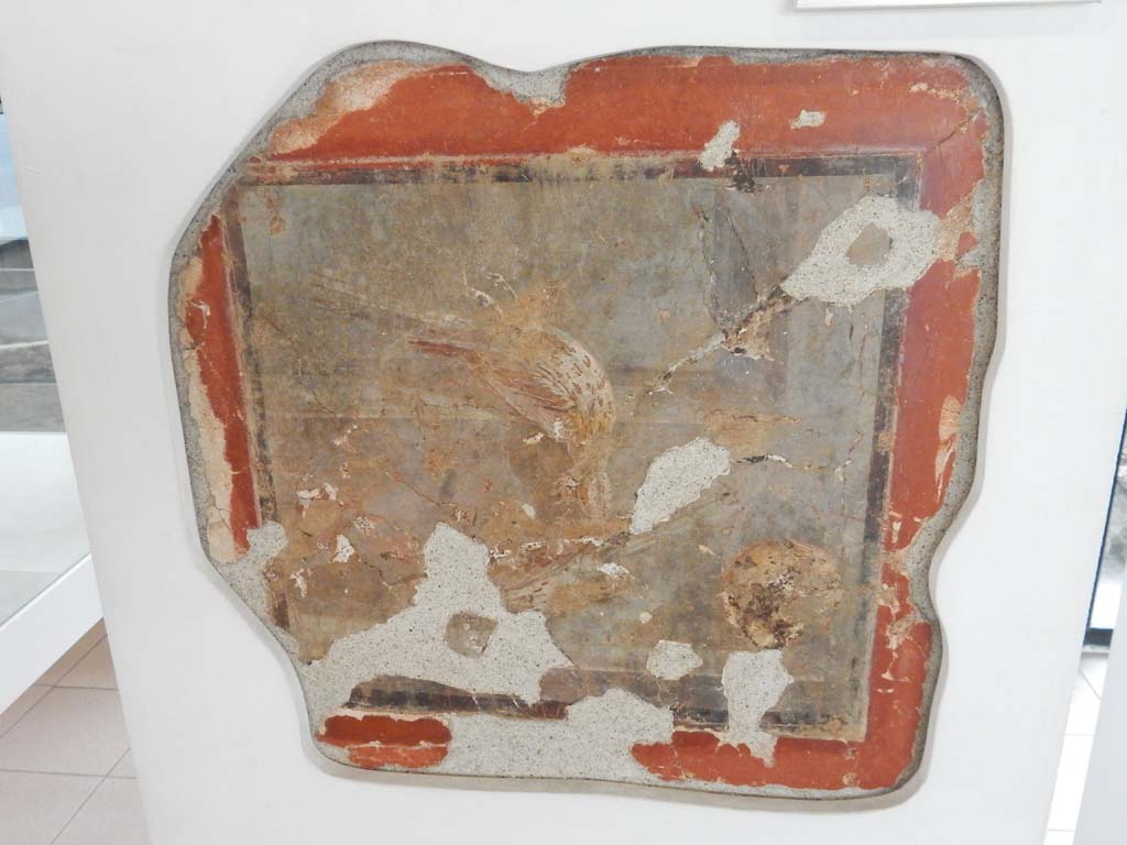 Villa della Pisanella, Boscoreale. May 2018. Room G, triclinium with red walls, north wall. Fresco with one (or two) dead bird(s) on a windowsill.
Now in Boscoreale Antiquarium. Inventory number 20554. Photo courtesy of Buzz Ferebee.
The Antiquarium label describes it as one dead bird on a windowsill. 
Varone in 2005 describes it as two song thrushes, one on a shelf and the other lying on a windowsill with its head hanging down.
See Varone A., in Stefani G., 2005. Cibi e sapori a Pompei e dintorni: Antiquarium di Boscoreale, 3 febbraio-26 giugno 2005, p. 17.
