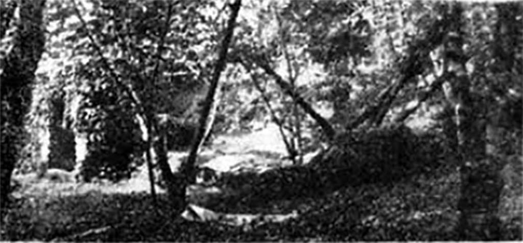 Villa della Pisanella, Boscoreale, 1984. Remains of villa with arch door on left. 
See Russo D. La villa rustica come fenomeno economico con particolare riferimento alle ville rustiche del suburbio pompeiano in Sylva Mala V, Bollettino del Centro Studi Archeologici di Boscoreale, Boscotrecase e Trecase, 1984, p. 1, pp. 4-9.
Photo courtesy of the Centro Studi Archeologici di Boscoreale, Boscotrecase e Trecase. Our thanks to Angelandrea Casale.
