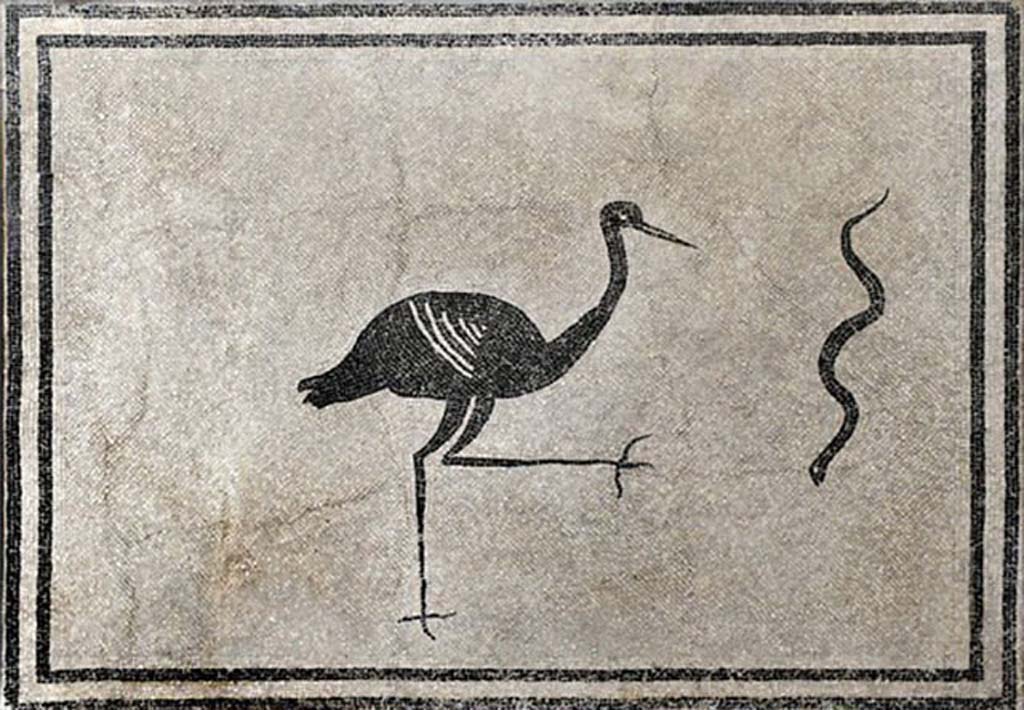 Boscoreale, Villa della Pisanella. Calidarium O. Mosaic floor with double black band round edge and stork and serpent in centre.