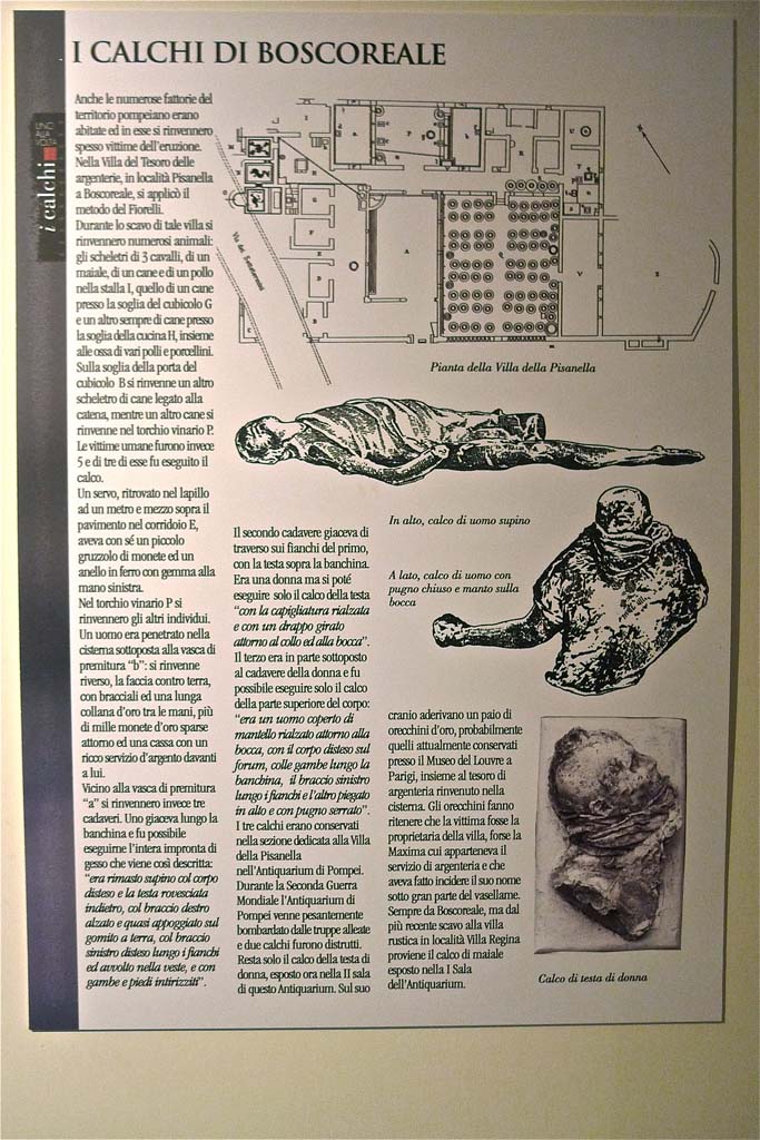 Villa della Pisanella, Boscoreale. July 2010. Boscoreale Antiquarium card with information about casts.
Photo courtesy of Michael Binns.

